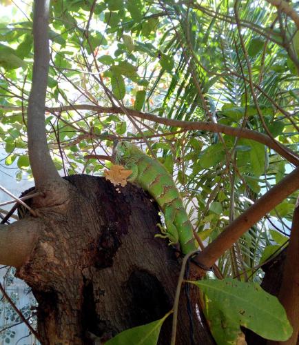 Maria Teresa Bragança Pousada – Jijoca de Jericoacoara, IL