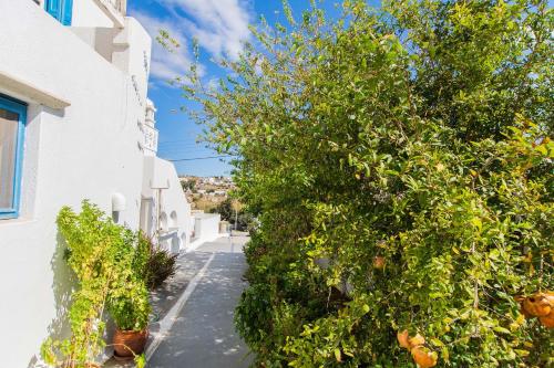 Mykonos Vouniotis Rooms - image 3