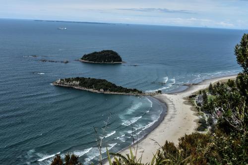 Up in the Stars B&B, Tauranga (foto 6)