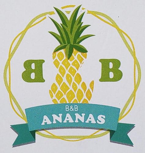  Ananas B&B, Pension in Santo Spirito