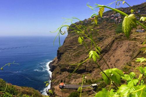  Holiday flat Campanário - FNC01100g-P, Unterkunft in Campanário