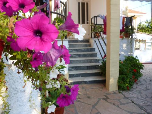 Kostas studios - image 13