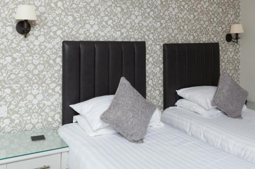 The Dog & Bear Hotel - image 10