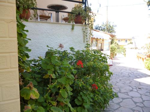 Kostas studios - image 10
