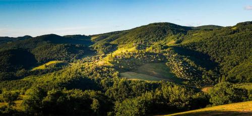 Le Silve di Armenzano