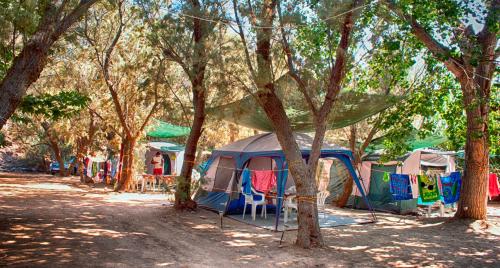 Camping Nopigia - image 5