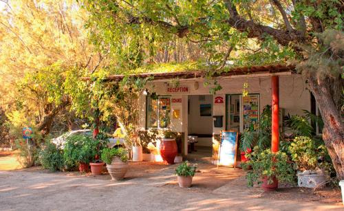 Camping Nopigia - image 13