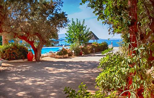 Camping Nopigia - image 11