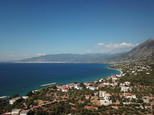  Arxontiko Apartments in Avia