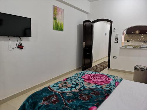 Studio Apartment image 1