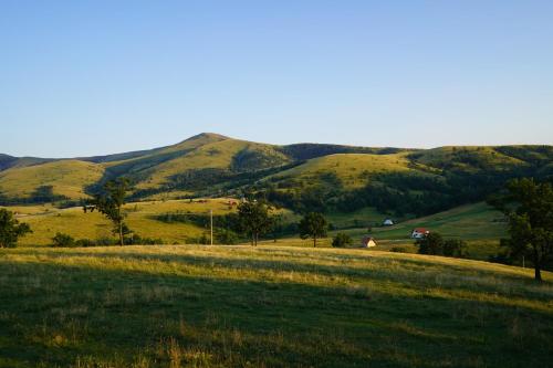 Apartment Gajevi - image 9