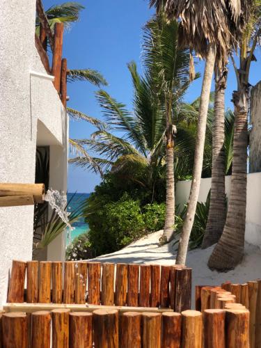 Casa Carolina Tulum in Tulum, Mexico