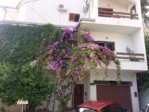 Apartment Zvone - 50m from the sea - Sumpetar