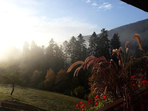 Landhaus Waldeshohe 992m von Huzenbach entfernt