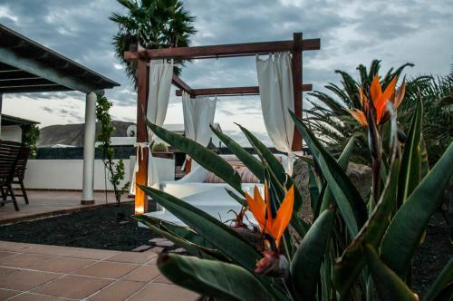 Villa Rosa Playa Blanca - image 6