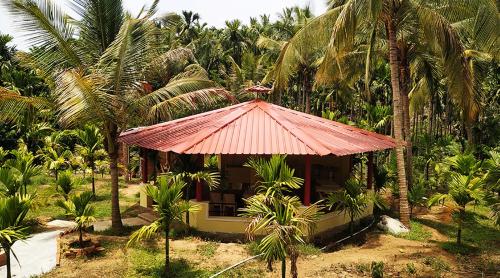 A Hotel Com White Elephant Cottages Homestay Dandeli India