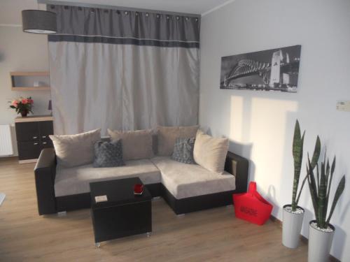 Apartament-Studio