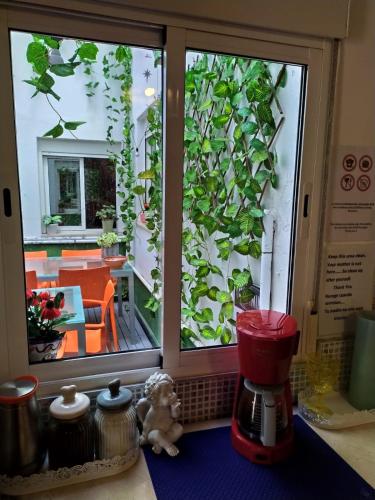 Málaga Centro Hostel - image 4