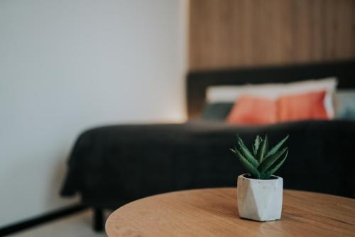 Apricot Luxe Apartments - main image