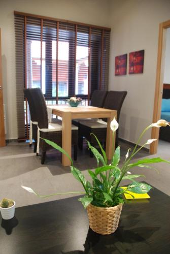 Apartamento Judería - image 2
