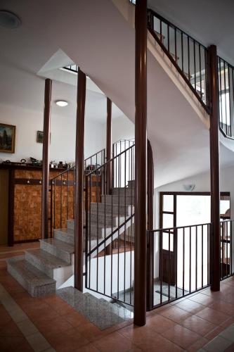 Vila Demanova - image 5