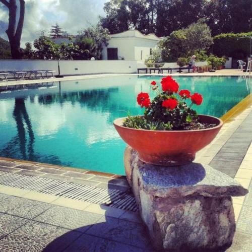 Hotel Al Bosco in Ischia