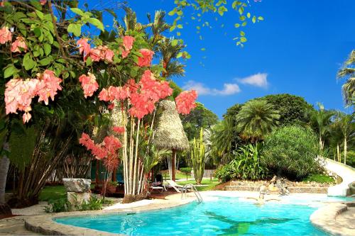 

Hotel Flying Crocodile