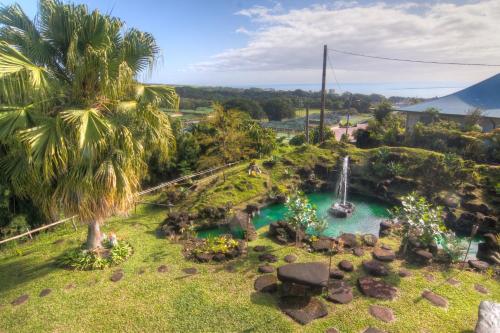 Hilltop Legacy Vacation Rental - image 10