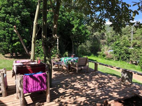 Jungle guest house - 레스토랑
