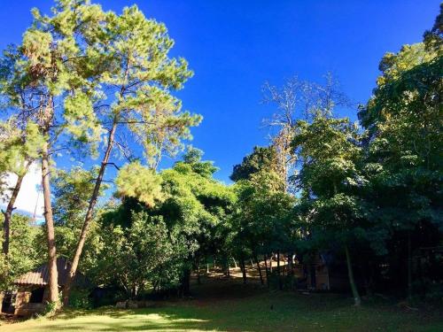 Jungle guest house - 정원