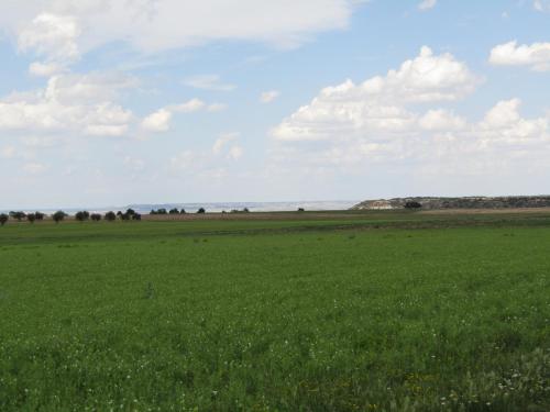  Apartamento cercano a Aranjuez al Parque Warner y al Parque Puy du Fou in Ciruelos