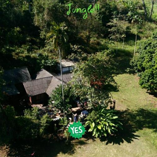 Jungle guest house - Tap to explore photos