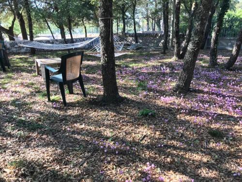 Villa Venus Woods 3