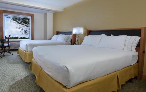 Holiday Inn Express Hotel & Suites High Point South an IHG Hotel - image 3