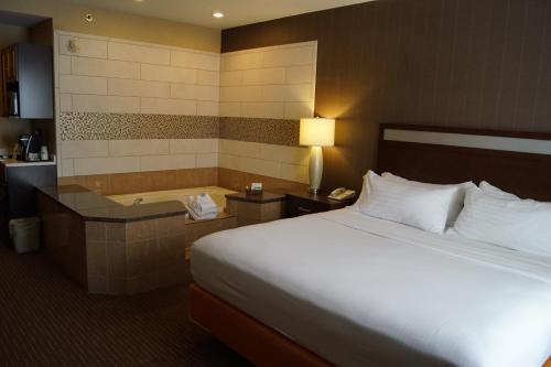 Holiday Inn Express Hotel & Suites Watertown - Thousand Islands, an IHG Hotel