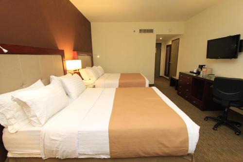 223447662 Holiday Inn Leon by IHG