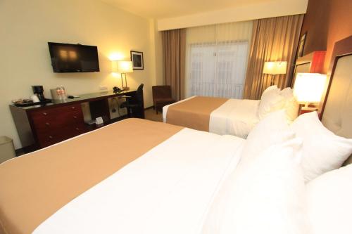 223447785 Holiday Inn Leon by IHG