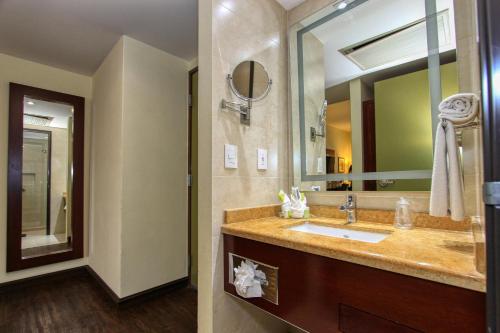 223448214 Holiday Inn Leon by IHG