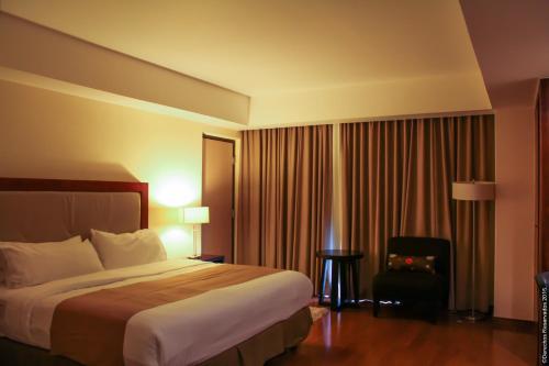 223448430 Holiday Inn Leon by IHG