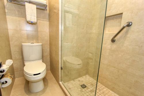 223448449 Holiday Inn Leon by IHG