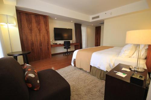 223448777 Holiday Inn Leon by IHG