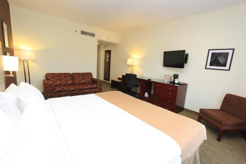 223448804 Holiday Inn Leon by IHG