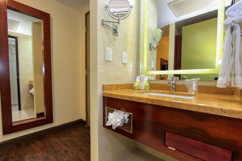 223448943 Holiday Inn Leon by IHG
