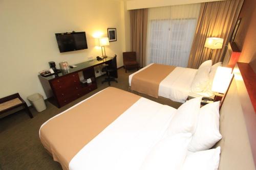 223449247 Holiday Inn Leon by IHG