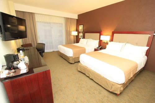 223449974 Holiday Inn Leon by IHG