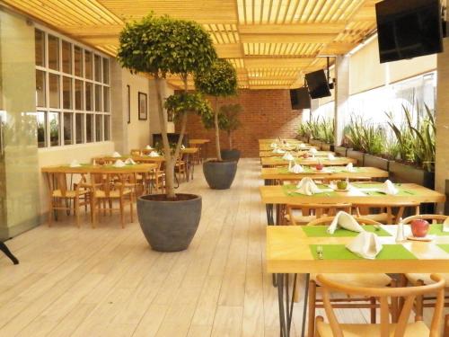 223453291 Holiday Inn Leon-Convention Center by IHG