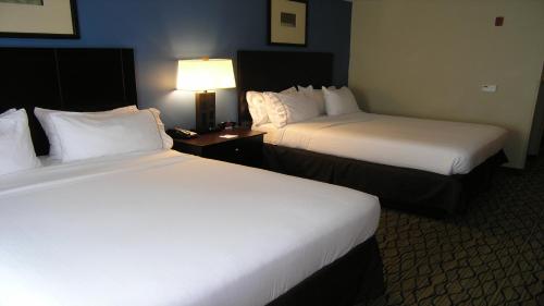 Holiday Inn Express & Suites Belle Vernon an IHG Hotel - image 9