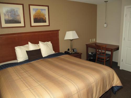 Candlewood Suites Elgin – Northwest Chicago an IHG Hotel - image 5