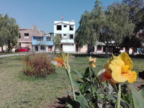 BONITA HABITACION FRENTE A MUCHAS FLOReS - image 3