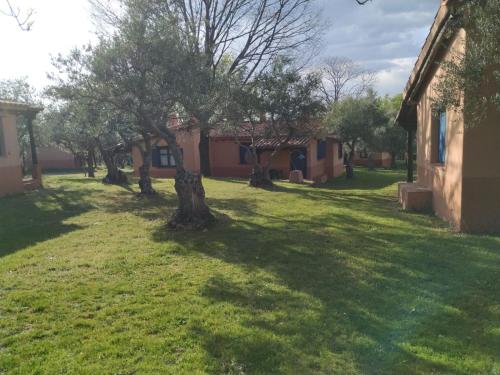 ALDEA VETONIA Complejo vacacional de Casitas Estudios y Chalets de 1 y 2 habitaciones con porche privado en Hervás -Mayo y Junio Salida hasta las 21h gratis sujeto a disponibilidad-Julio y agosto 4 actividades al día y Restaurante Terraza - image 5